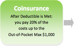 appendix-b-coinsurance-in