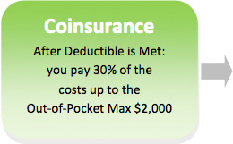 appendix-b-coinsurance-out