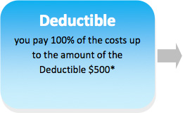 appendix-b-deductible-in